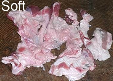 Soft Fat